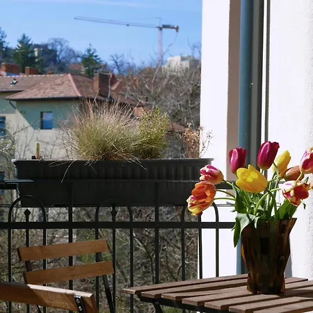 Choco & بيت شباب *