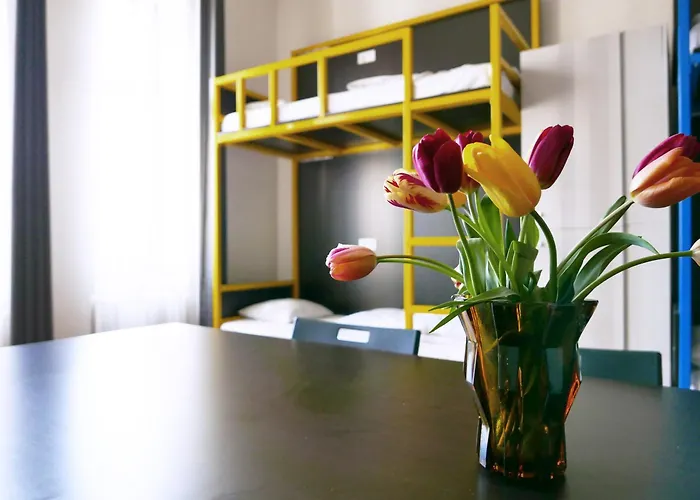 Choco & Vandrarhem Cluj-Napoca