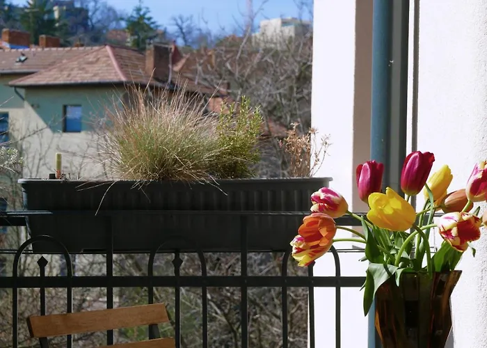 Choco Home&hostel Hostal *